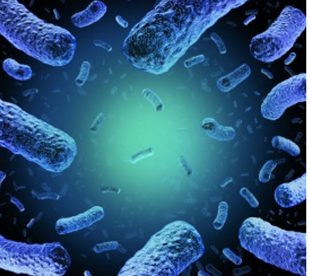 Phương pháp tương đương: Thermo Scientific SureTect Listeria monocytogenes PCR Assay