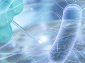 Phương Pháp Kiểm Nghiệm Vi Sinh Trong Thực Phẩm: Salmonella species (tt)