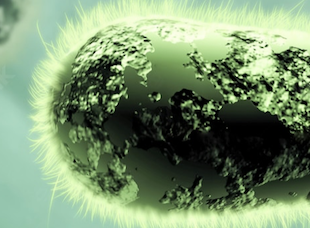 Microbial Update: Listeria
