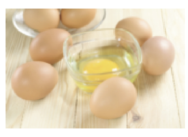 Salmonella