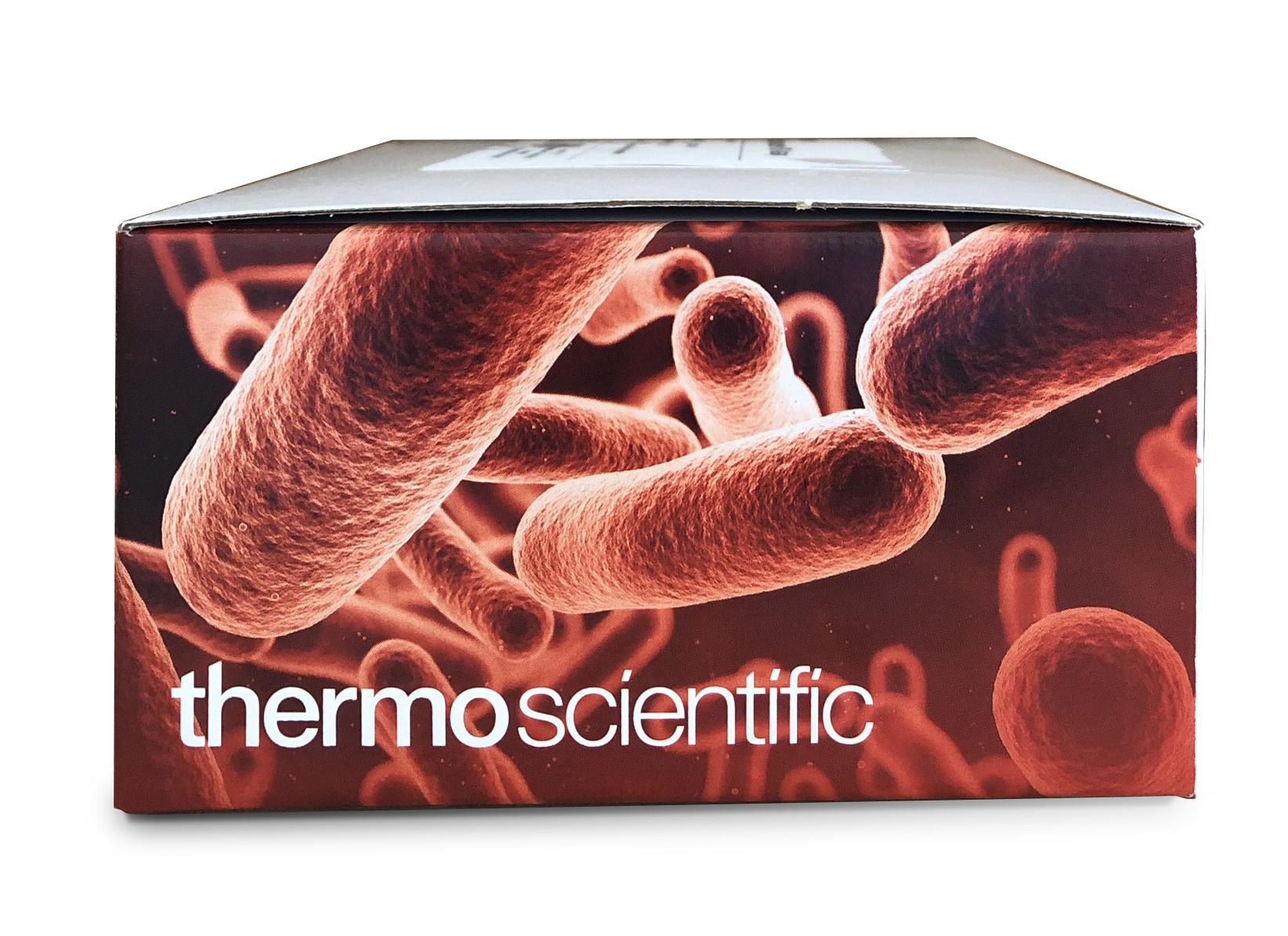 Lựa Chọn Giải Pháp Real-Time PCR Phát Hiện Mầm Bệnh Trong Thực Phẩm