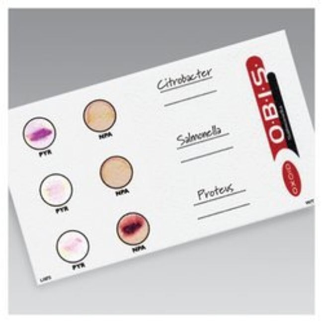 Kit định danh Listeria mono